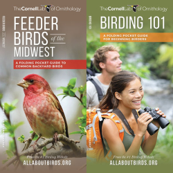 Birding Pocket Naturalist Guides